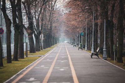 Empty road along trees