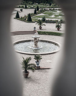 High angle view of potted plants on fountain