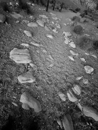 High angle view of wet stones on field during winter