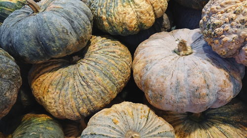 Full frame shot of pumpkins at market stall