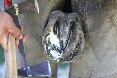 Close-up of person holding hands