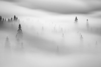 People on snow covered land against sky