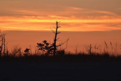 Silhouette plants on field against romantic sky at sunset
