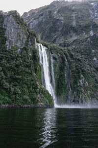 Scenic view of waterfall in forest