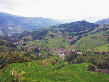 Scenic view of green landscape