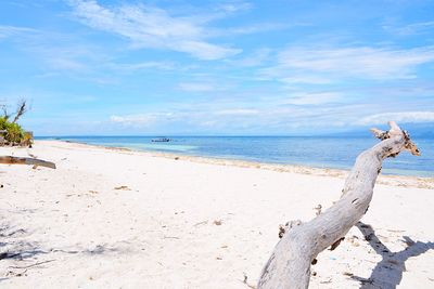 Scenic view of beach against blue sky