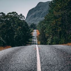 Road by trees against sky