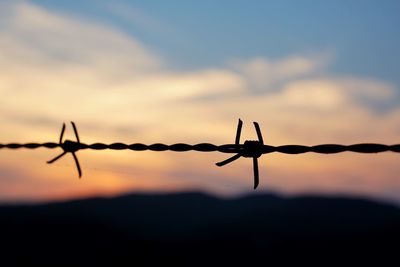 Close-up of silhouette barbed wire against sky during sunset