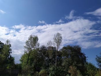 Low angle view of trees against cloudy sky