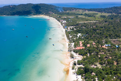 High angle view of sea and trees