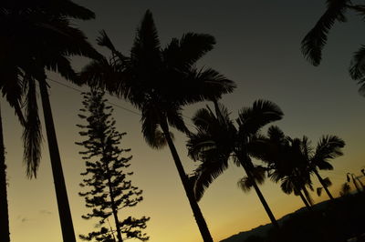 Silhouette palm trees against sky during sunset