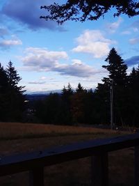 Trees on field against sky