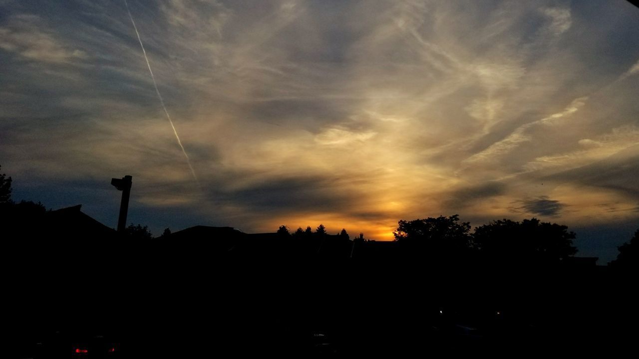 SILHOUETTE TREES ON LANDSCAPE AGAINST SKY DURING SUNSET