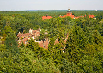 High angle view of temple amidst trees and buildings