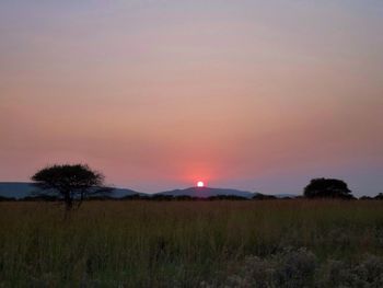Scenic view of landscape at sunset