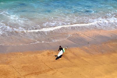 High angle view of people on beach