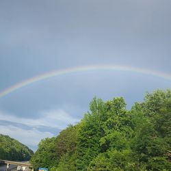 Rainbow over trees against sky