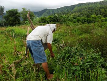 Rear view of farmer working on farm