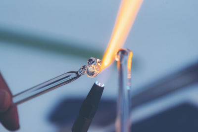 Close-up of hand holding insect