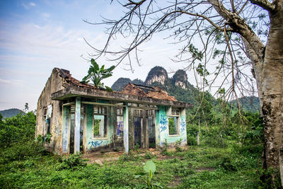 Exterior of abandoned house by tree against sky in jungle