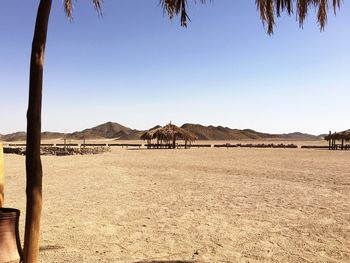 Tranquil view of barren landscape against clear sky