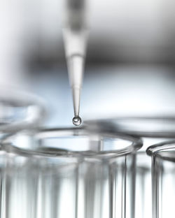 Close-up of sample being pipetted into test tube for analysis in laboratory