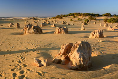 Panoramic view of people on sand against clear sky