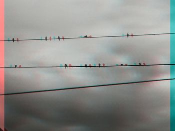 Low angle view of power lines