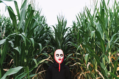 Unrecognizable person wearing masquerade mask and costume standing in cornfield and looking at camera