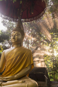 Low angle view of statue against trees