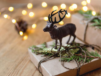 Close-up of deer on table