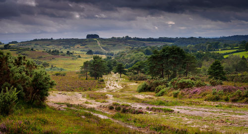 Scenic view of landscape against sky