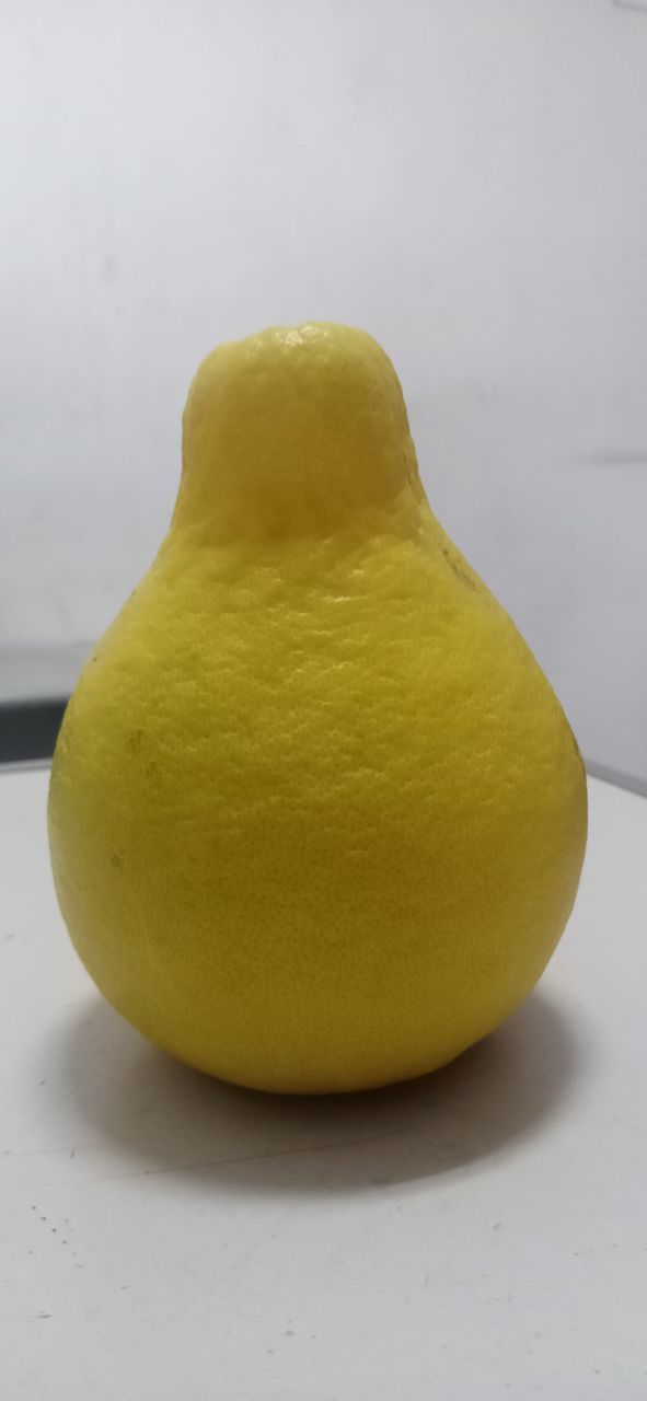 yellow, food, food and drink, fruit, produce, healthy eating, plant, freshness, wellbeing, indoors, no people, studio shot, single object, close-up, citrus, pear, still life, lemon