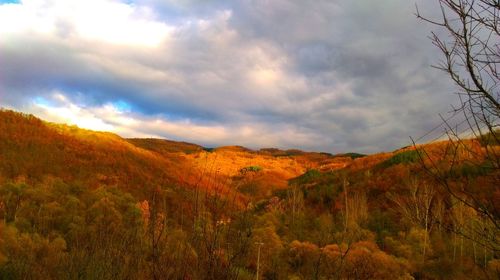 Scenic view of field and mountains against sky