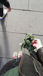 Low section of man holding plants