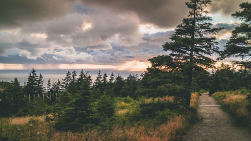 Scenic view of landscape against sky during sunset