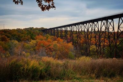 Bridge by trees against sky