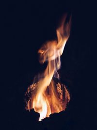 Close-up of fire against black background