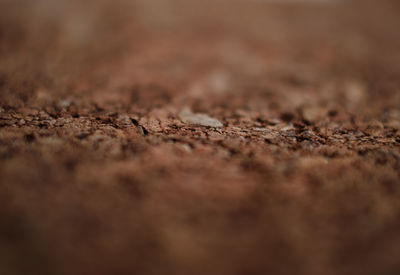 Surface level of ground