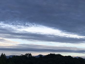 Low angle view of silhouette trees against sky