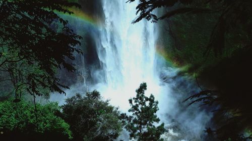 Scenic view of waterfall in forest against sky