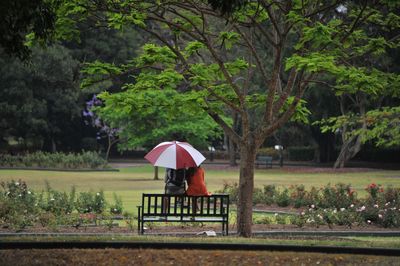 Lifeguard hut in park during rainy season