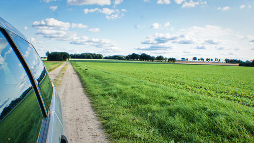 Scenic view of grassy field against sky