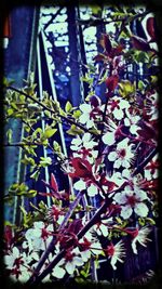 Low angle view of plants