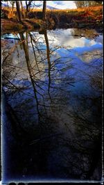 Close-up of bare tree in lake during winter