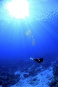 Man swimming in sea