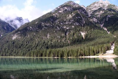 Scenic view of lake by trees against sky