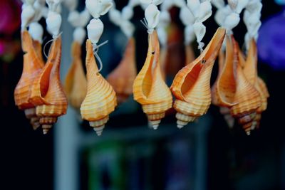 Close-up of seashells decoration hanging at market