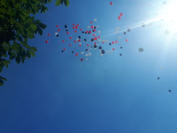 Low angle view of balloons flying against blue sky