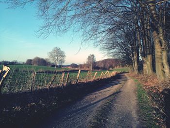 Road amidst bare trees against clear sky